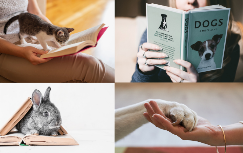 Library News 05.05.25 Applause for Paws & Claws: Celebrate National Pet Week® May 4–10, 2025