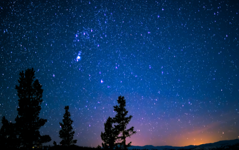 A deep blue night sky filled with countless stars, with the silhouettes of pine trees in the foreground and a faint glow on the horizon.
